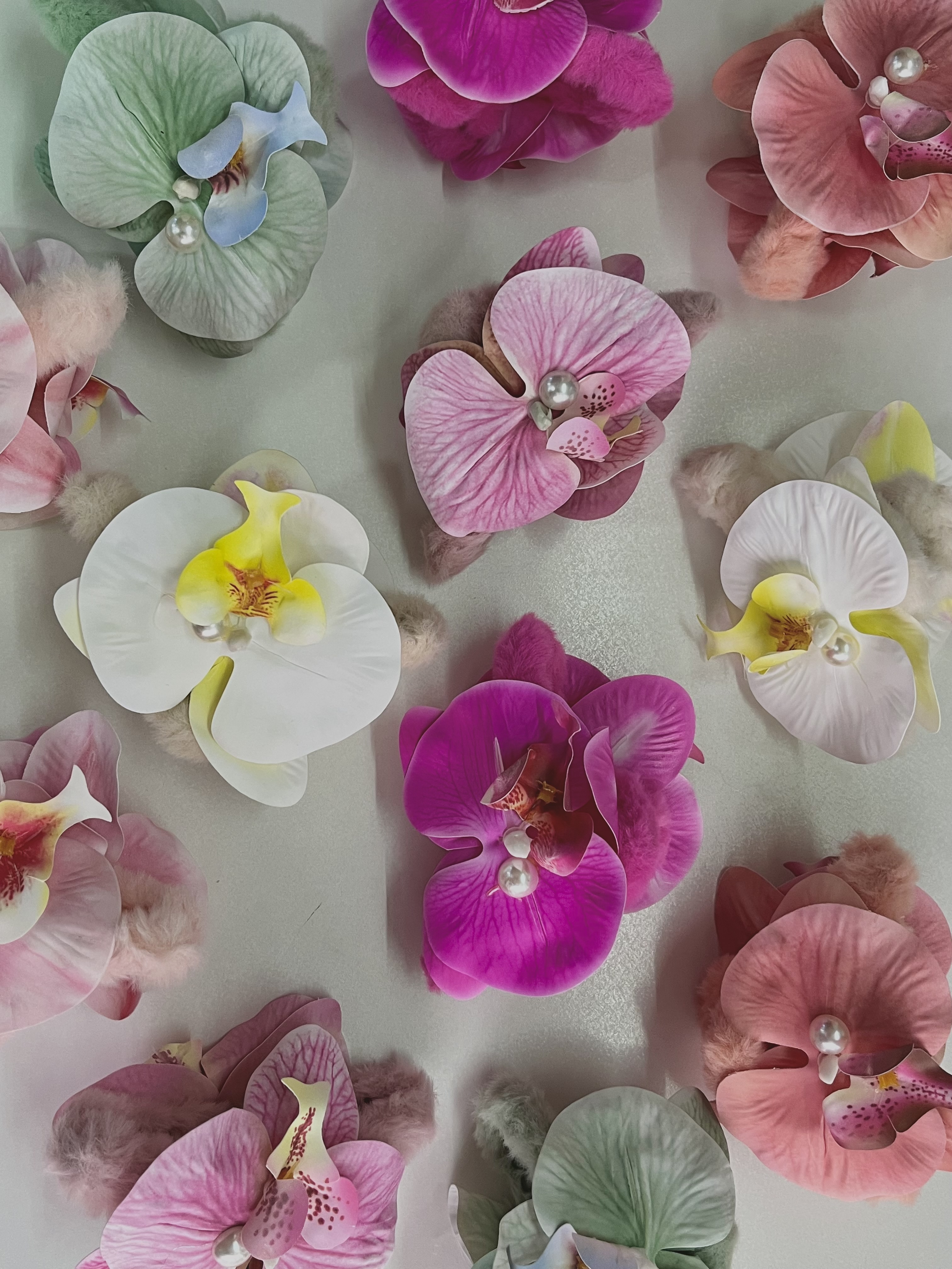 کلیپس ارکیده